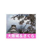 さくら：チャビック＆カズミ（個別スタンプ：38）