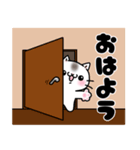 日常で使いやすい白い猫のスタンプ（個別スタンプ：1）