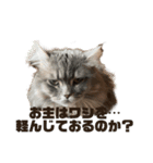 猫の森基金①（個別スタンプ：6）
