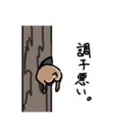 自然に慣れてない生物（個別スタンプ：12）