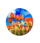 挨拶 敬語 チューリップ お花（個別スタンプ：2）