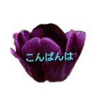挨拶 敬語 チューリップ お花（個別スタンプ：4）