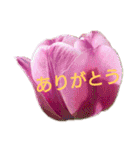 挨拶 敬語 チューリップ お花（個別スタンプ：5）
