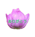 挨拶 敬語 チューリップ お花（個別スタンプ：6）