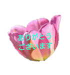 挨拶 敬語 チューリップ お花（個別スタンプ：8）