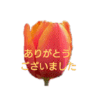 挨拶 敬語 チューリップ お花（個別スタンプ：9）