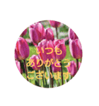 挨拶 敬語 チューリップ お花（個別スタンプ：11）