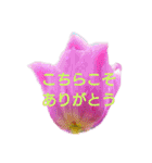 挨拶 敬語 チューリップ お花（個別スタンプ：12）