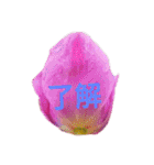 挨拶 敬語 チューリップ お花（個別スタンプ：14）