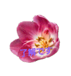 挨拶 敬語 チューリップ お花（個別スタンプ：15）