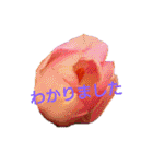 挨拶 敬語 チューリップ お花（個別スタンプ：18）