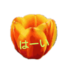 挨拶 敬語 チューリップ お花（個別スタンプ：19）