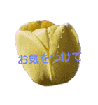挨拶 敬語 チューリップ お花（個別スタンプ：26）