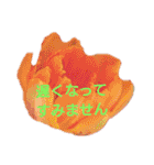 挨拶 敬語 チューリップ お花（個別スタンプ：31）