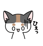 しろきじさんとみけねこさん（個別スタンプ：33）