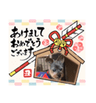 あかねとたつとかんかん（個別スタンプ：3）