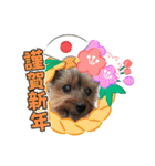 あかねとたつとかんかん（個別スタンプ：4）