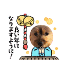 あかねとたつとかんかん（個別スタンプ：5）