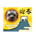 あかねとたつとかんかん（個別スタンプ：6）