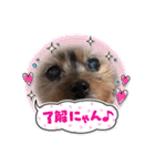 あかねとたつとかんかん（個別スタンプ：11）