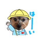 あかねとたつとかんかん（個別スタンプ：18）