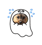 あかねとたつとかんかん（個別スタンプ：26）