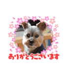 あかねとたつとかんかん（個別スタンプ：28）