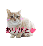 もなまるすたんぷ（個別スタンプ：1）