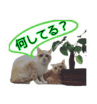 もなまるすたんぷ（個別スタンプ：3）