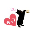 るなぴの日常スタンプ②（個別スタンプ：5）