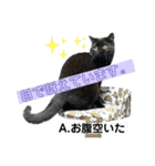 るなぴの日常スタンプ②（個別スタンプ：7）