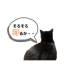るなぴの日常スタンプ②（個別スタンプ：8）