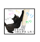 るなぴの日常スタンプ②（個別スタンプ：13）
