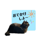 るなぴの日常スタンプ②（個別スタンプ：16）