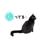 るなぴの日常スタンプ②（個別スタンプ：20）
