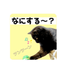るなぴの日常スタンプ②（個別スタンプ：23）