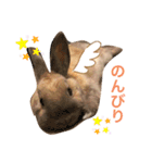 のんびりうーちゃん2（個別スタンプ：3）