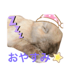 のんびりうーちゃん2（個別スタンプ：7）