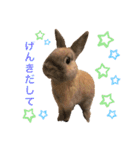 のんびりうーちゃん2（個別スタンプ：9）