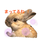 のんびりうーちゃん2（個別スタンプ：10）