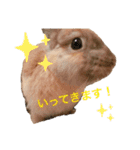 のんびりうーちゃん2（個別スタンプ：13）