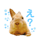 のんびりうーちゃん2（個別スタンプ：19）