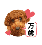 愛犬達のスローディズ5（個別スタンプ：9）