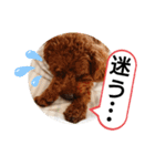 愛犬達のスローディズ5（個別スタンプ：11）