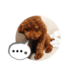 愛犬達のスローディズ5（個別スタンプ：14）