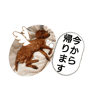 愛犬達のスローディズ5（個別スタンプ：28）