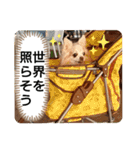 愛犬達のスローディズ5（個別スタンプ：29）