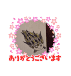 ヤドカリピ（個別スタンプ：1）