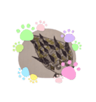 ヤドカリピ（個別スタンプ：12）