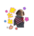 ビーちゃんスタンプ♡（個別スタンプ：1）